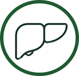 維持肝功能健康