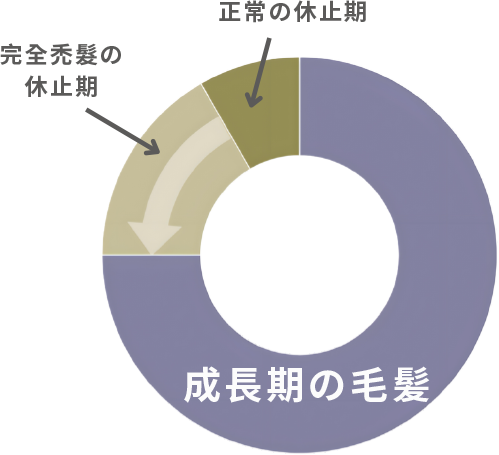 DR.SCALP 日本豌豆芽生髮補充劑